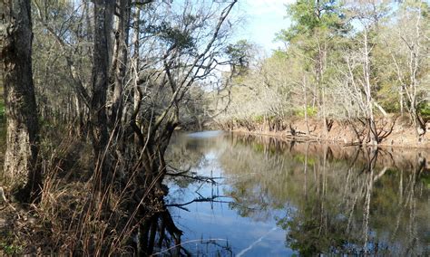 Manuel Ramirez said efforts like these are a testament to Carlisle’s commitment to conservation. . Isportsman fort stewart